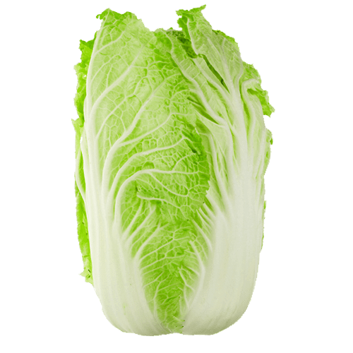 CABBAGE CHINESE (WOMBOK) 12/BOX