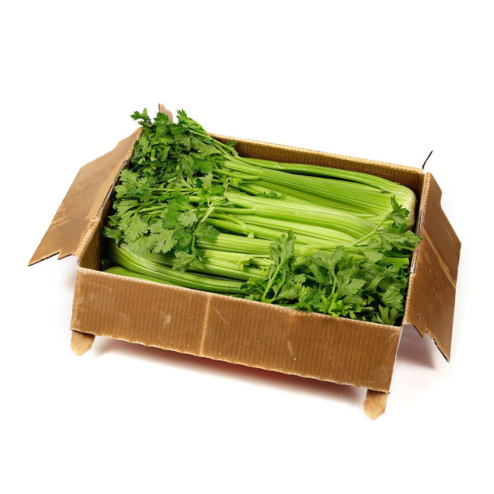 CELERY BOX/12